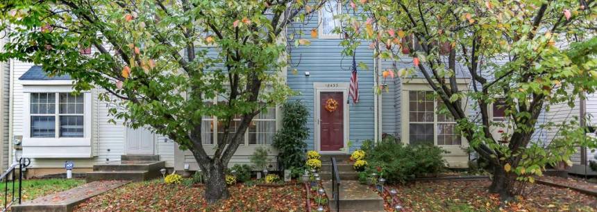 18433 Honeylocust