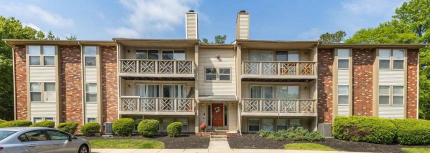 38 Sweetfern