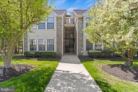 36 Summit Ct