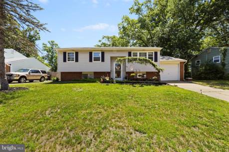33 Congress Rd