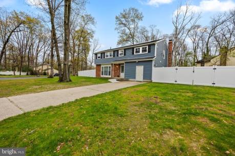 51 White Birch