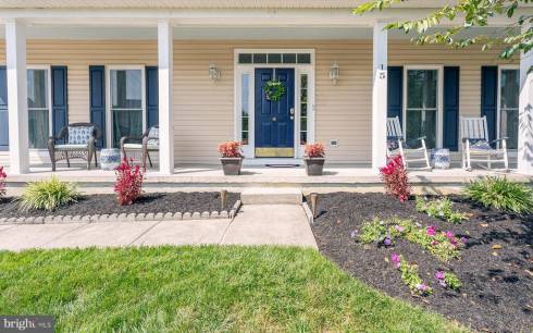 15 Canidae St