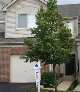 1035 Woodview Ct