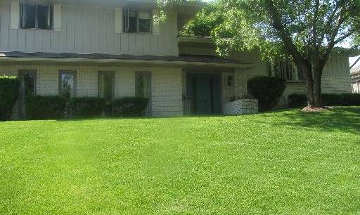 601 Briar Ln