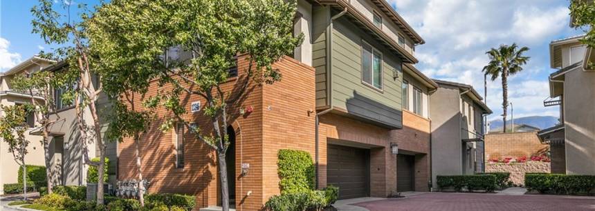 12346 Hollyhock Dr 3