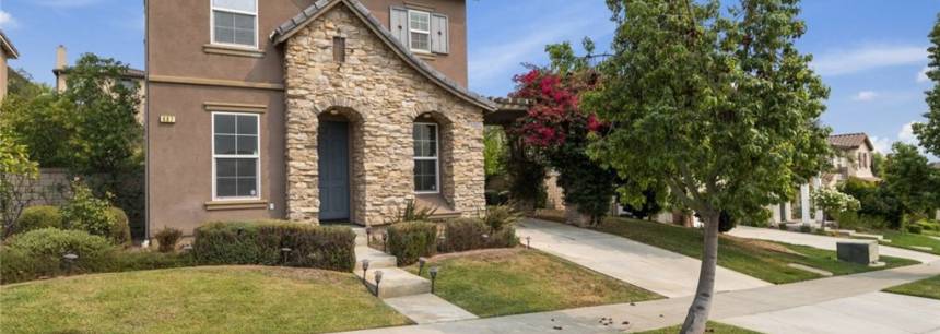 687 E Lemon Swirl Dr