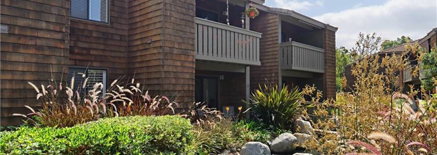 33852 Del Obispo St 19