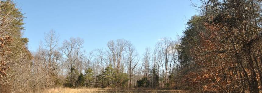 Lot 28 007-28