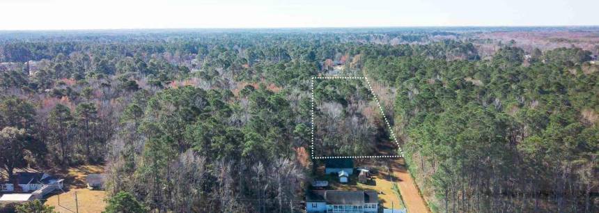 4231 Roscoe Rd.