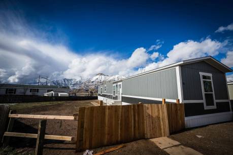 31 Tamarisk Court
