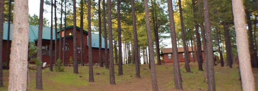 783 Trout Springs Rd