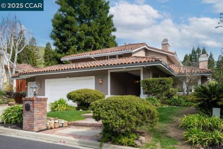 336 Live Oak Dr