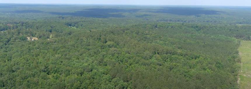109 Acres County Road 156