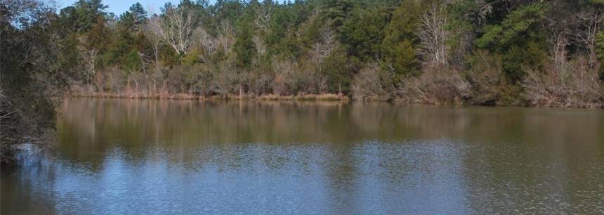 86 Acres County Road 156
