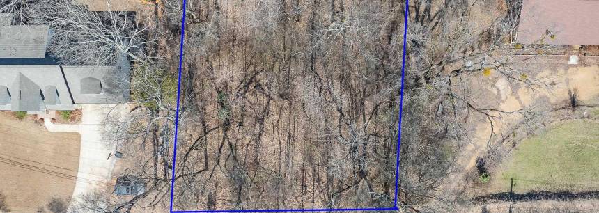 0.3 Acres SE Blevins Gap Road