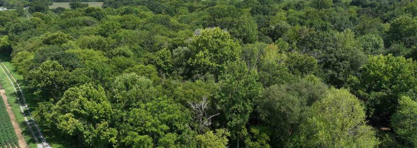 21 acres Kalea Park Road NE