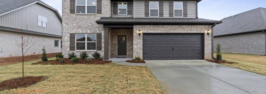 234 Paladin Street
