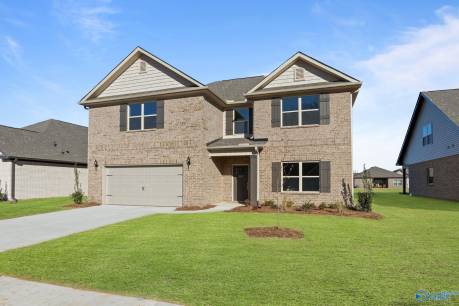 225 Paladin Street