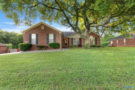212 Vintage Point Circle