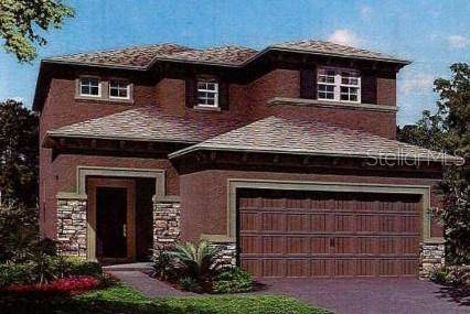 19584 Breynia Dr