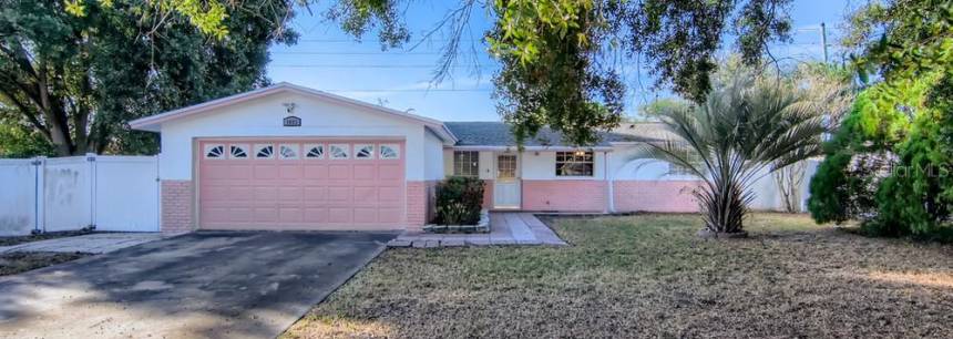 1003 Idlebriar Way