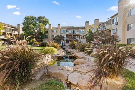 39152 Guardino Dr 203