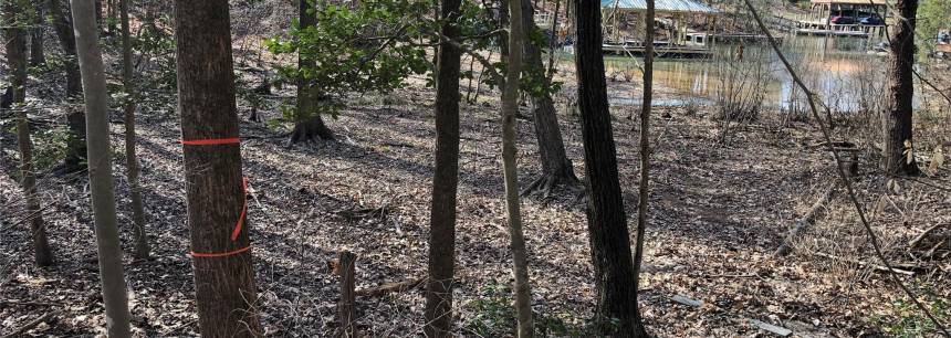 Lot 15 Juniper Ln 15