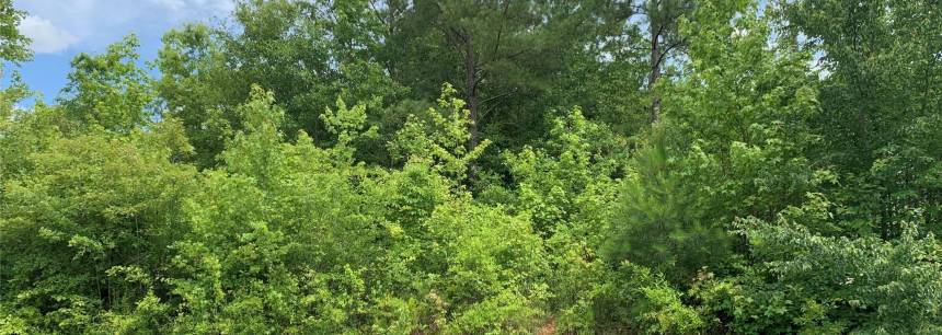 465 Rutledge Dr