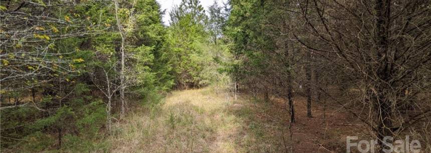 1237 Beltline Rd 10