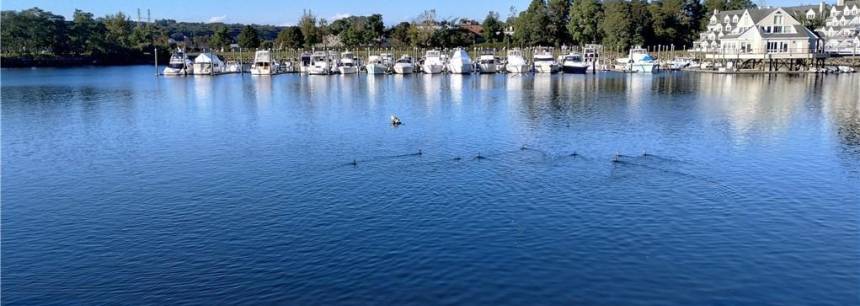279 Popes Island Rd D-6