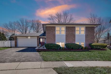 444 Chicory Ln