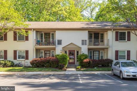 5901 Kingsford Rd 440