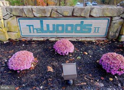 2024 The Woods Ii