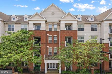 350 W Elm St 3102