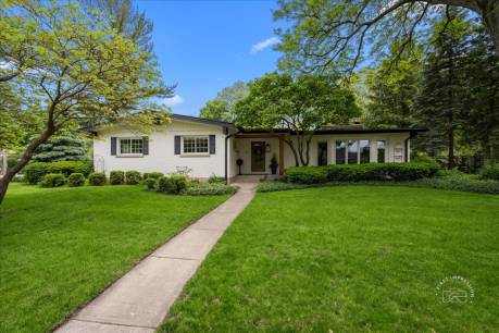 705 Meadows Rd