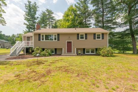 12 Pine St