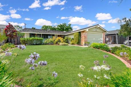 855 Mangrove Ave