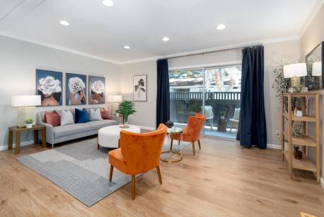 255 Easy St 12