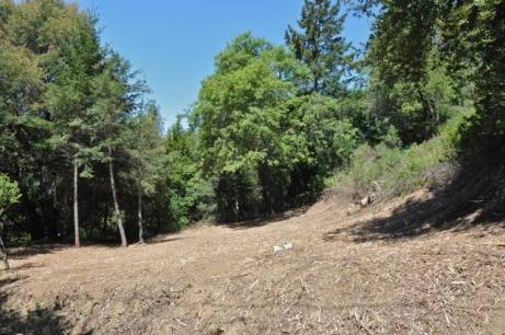 0 Bear Creek Rd