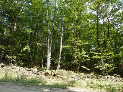 Lot 6 Maplecrest Rd