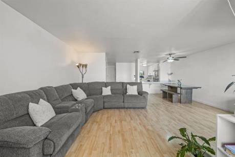 10775 Tamar A