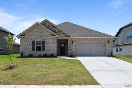 220 Paladin Street