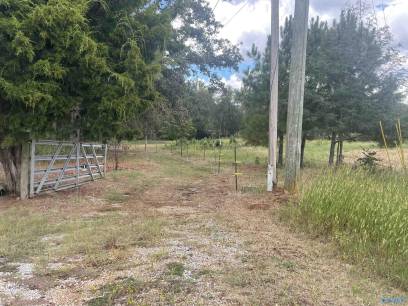 228 County Road 160