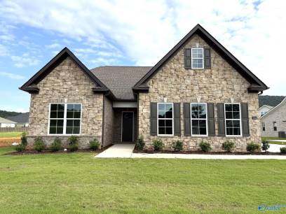 7504 Speckle Belly Boulevard