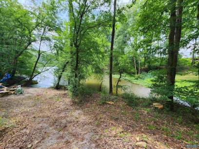 Lot#7 County Road 949