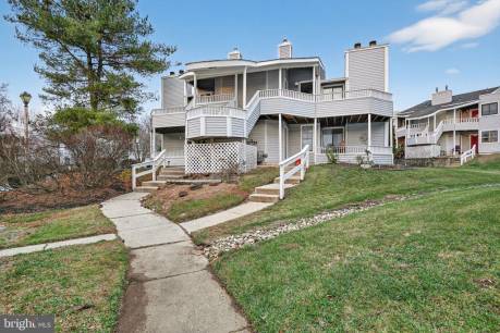 401 Shelby Ct