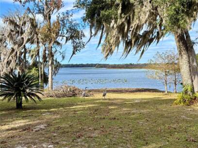 114 Little Orange Lake Dr