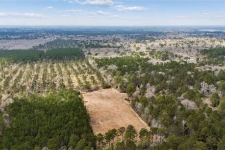 0 County Road 3704b