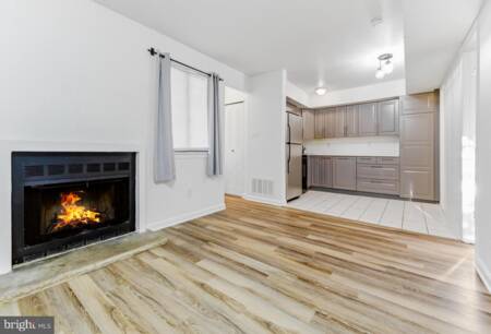 403 Shelby Ct
