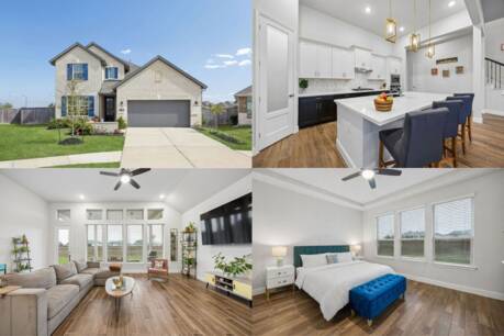 21703 Prickly Caterpillar Ct
